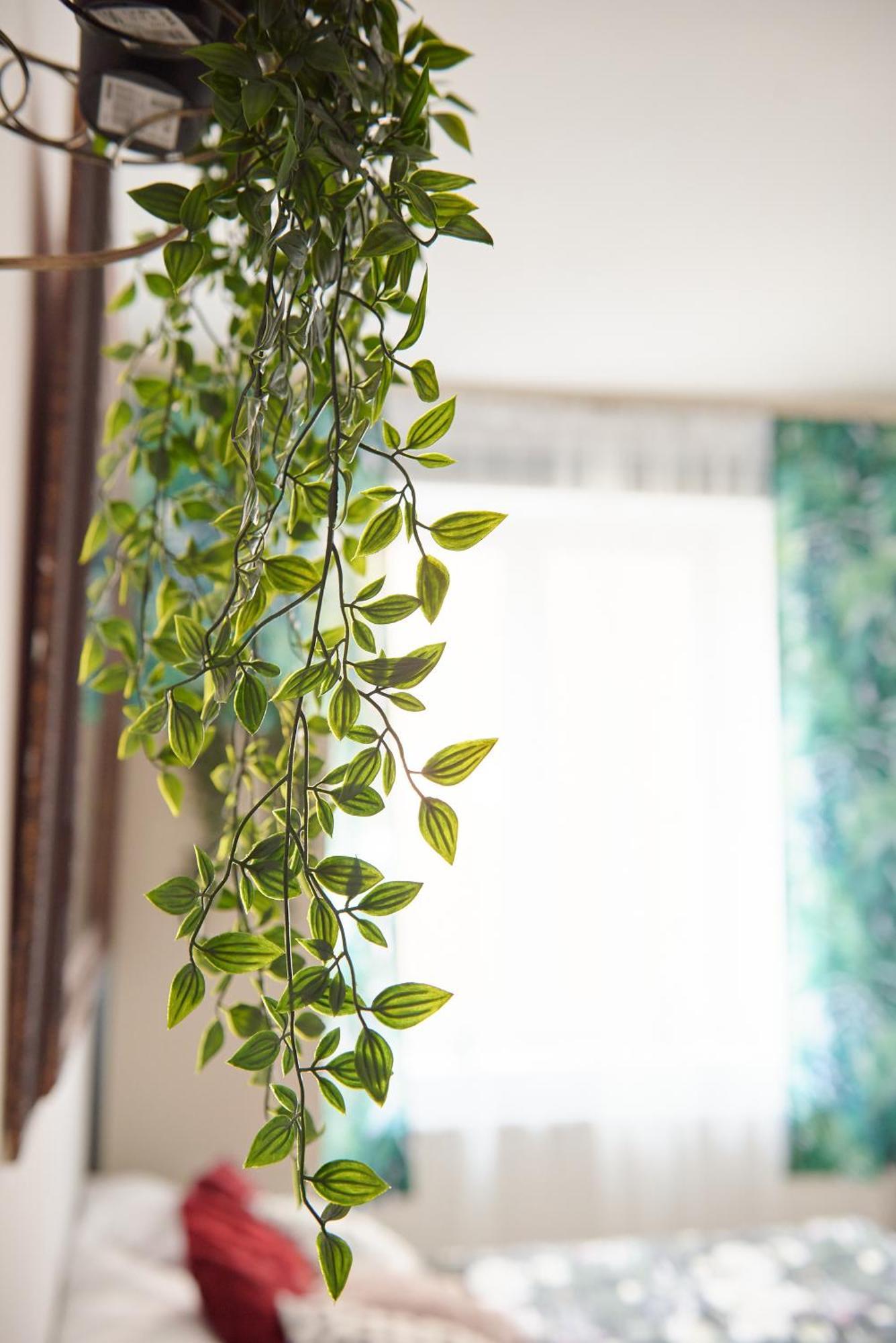 Apartment Kazimierz Rzeszowska คราคูฟ ภายนอก รูปภาพ