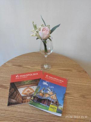 Apartment Kazimierz Rzeszowska คราคูฟ ภายนอก รูปภาพ